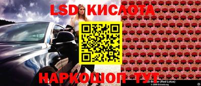 ГАЛЛЮЦИНОГЕННЫЕ ГРИБЫ Донской