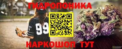 прущие грибы Донецк